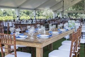 The Vineyard @ 12 Corners Michigan Vineyard wedding venues